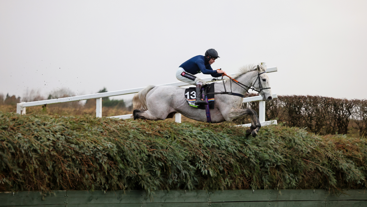 Snow Leopardess has yet to fall in a race